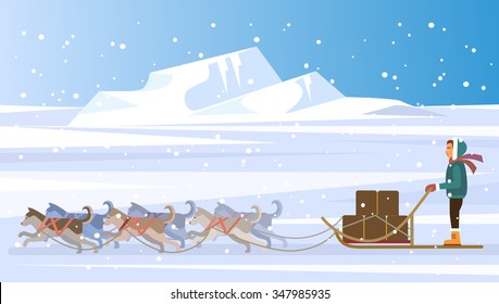 Musher and dog sled team. Vector flat illustration