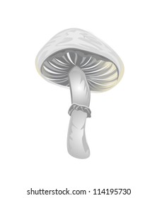 mushroom