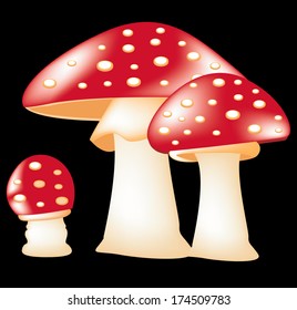 mushroom