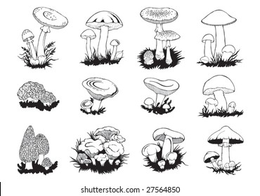 mushroom