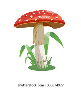 mushroom