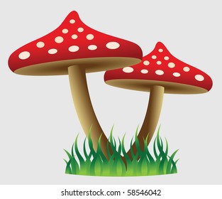 Mushroom