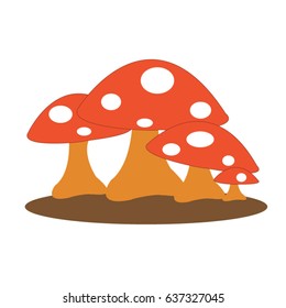 mushroom