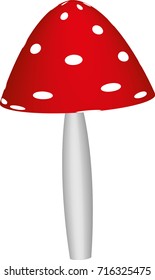 mushroom