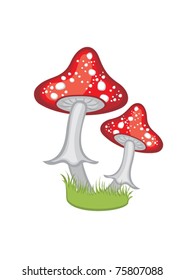 mushroom