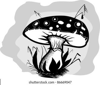 mushroom