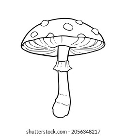 Mushroom, amanita. For coloring book pages. Outline drawing