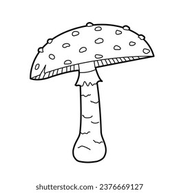 Mushroom - Amanita. Vector black white outline  illustration. Design elements or page of children's coloring book