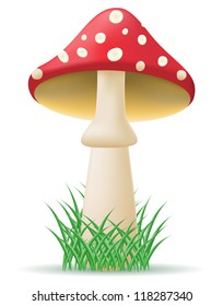 mushroom amanita vector illustration isolated on white background