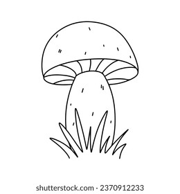 Mushroom. Autumn element. Hand drawn doodle style. Vector illustration isolated on white. Coloring page.