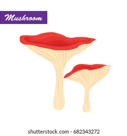 Mushroom in the autumn forest. Mushroom vector.