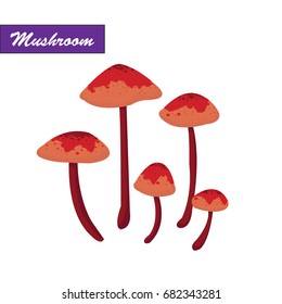 Mushroom in the autumn forest. Mushroom vector.