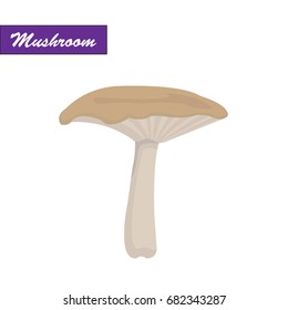Mushroom in the autumn forest. Mushroom vector.