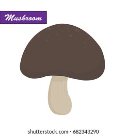Mushroom in the autumn forest. Mushroom vector.