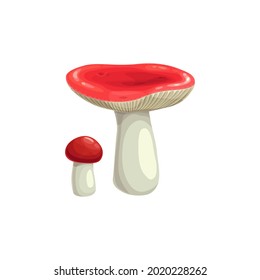 Mushroom autumn icon, fall harvest and forest food, vector isolated icon. Russula or woolly milkcap mushroom with pink red cap, Thanksgiving autumn harvest and edible boletus, cooking ingredient