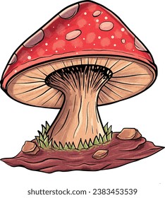 mushroom  autumn 