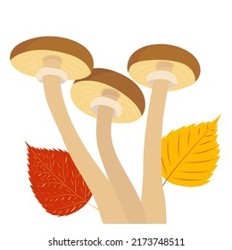 mushroom and autumn leaves in flat design