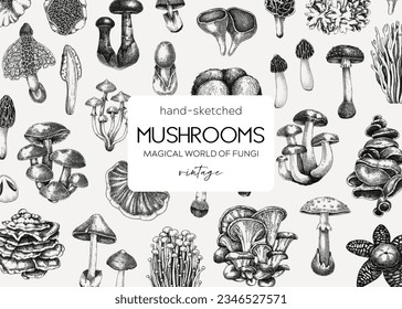 Mushroom background. Hand drawn vector illustration. Healthy food, poisonous mushrooms, fungi sketches. Autumn design template. Vintage banner in engraved style. 