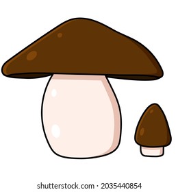 Mushroom. Beautiful autumn forest large cartoon mushroom brown. Vector illustration for magazines, prints and stickers on canned food.