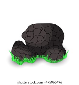 mushroom black truffle surround isolated on white background with grass