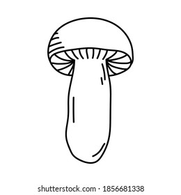 Mushroom boletus. Doodle vector illustration. Single hand drawn element isolated on white background. For greeting cards, posters, stickers and seasonal designs.