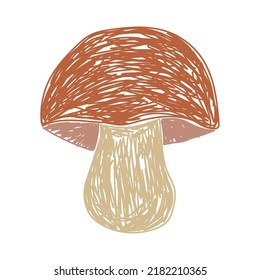 Mushroom. Boletus edulis. Hand drawn vector illustration. Pen or marker doodle sketch