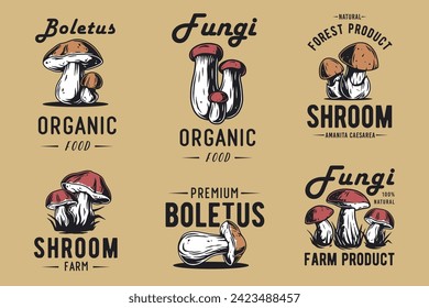 Mushroom boletus set of porcini, king bolete. Vegetarian fungus boletus for food. Nature fungi for healthy nutrition picking.