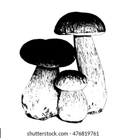Mushroom boletus. Three on a white background. Silhouette. 