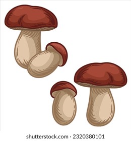 Mushroom boletus. Vector illustration of boletus in cartoon style.