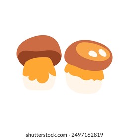 Mushroom boletus vector isolated white background. Forest fungi illustration