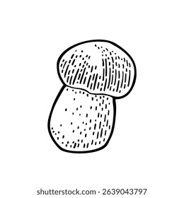 Mushroom boletus. Vintage monochrome black vector engraving illustration isolated on white. Hand drawn design element