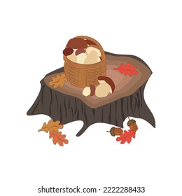 Mushroom Boletus in wicker basket vector illustration