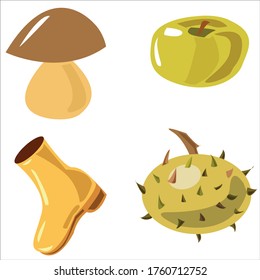 Mushroom, boot, apple and chestnut