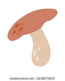 Mushroom with brown cap and beige stem growing wild, hand drawn digital illustration isolated on white background, simple and minimalist autumnal design