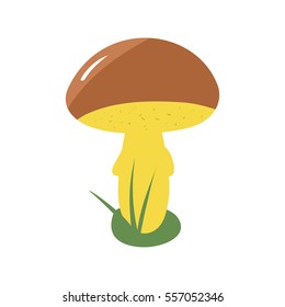 Mushroom brown cap boletus vector illustration.  Flat design.