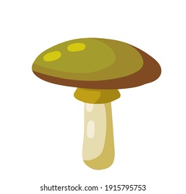 Mushroom with a brown cap. Natural natural product. Vegetation element of the forest. Flat cartoon illustration
