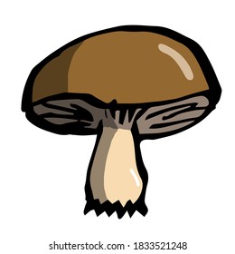 A mushroom with a brown cap, torn out, plates are visible, volumetric in the vector. A sketch of a colored individual one mushroom.