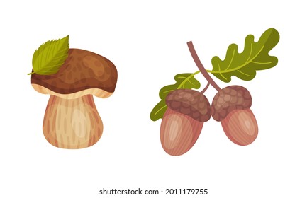 Mushroom with Cap and Acorn Twig as Forest Botany Element Vector Set