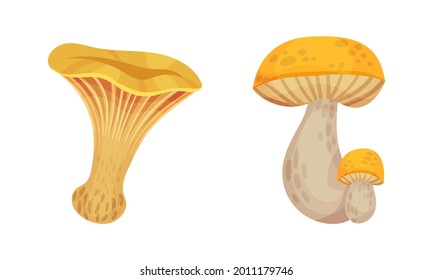 Mushroom with Cap as Forest Botany Element Vector Set