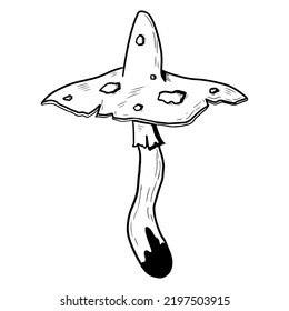 Mushroom with a cap with poisonous dots. Vector illustration isolated on a white background. Hand-drawn style.