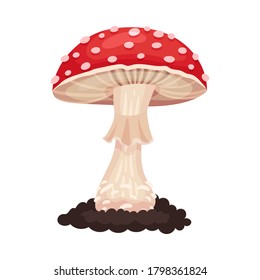 Mushroom con tapón y tallo como elemento forestal Ilustración vectorial