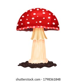 Mushroom with Cap and Stem as Forest Element Vector Illustration