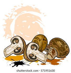 Mushroom cartoon