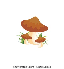Mushroom cartoon icon