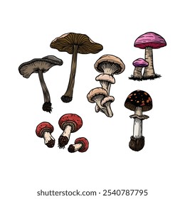 Mushroom cartoon illustration in hand draw style