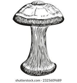 Mushroom cartoon ink , black and white sketch drawing, tshirt print linear fungus