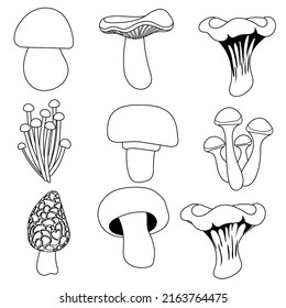 Mushroom Cartoon Outline Style Stock Vector (Royalty Free) 2163764475 ...