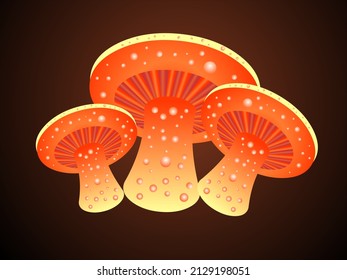 Mushroom Mushroom Cartoon Vector Drawing Stock Vector (Royalty Free