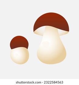 Mushroom cep. Element for design isolated on white background.