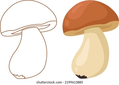 mushroom cep isolated on white, vector, eps 10